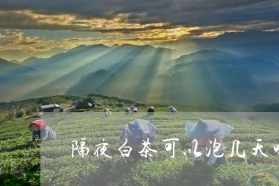 隔夜白茶可以泡几天喝吗/2023032991603