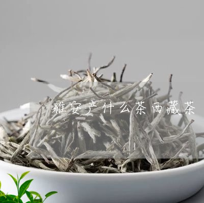 雅安产什么茶西藏茶/2023041636258