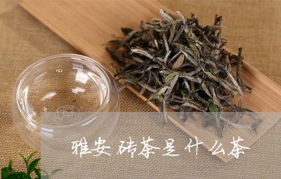 雅安砖茶是什么茶/2023041536249