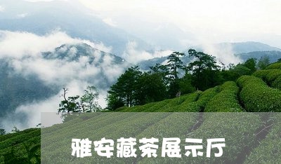 雅安藏茶展示厅/2023032004183