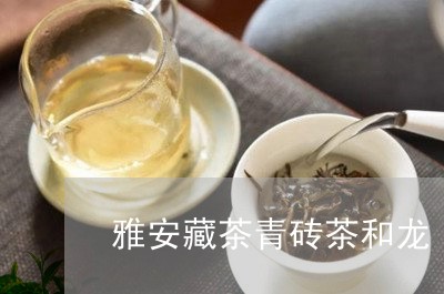 雅安藏茶青砖茶和龙/2023032082734