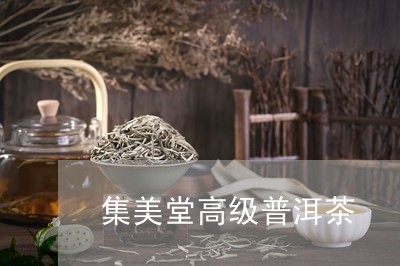 集美堂高级普洱茶/2023041070627