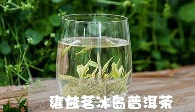 雍益茗冰岛普洱茶/2023041352746