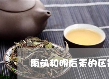 雨前和明后茶的区别/2023041683728