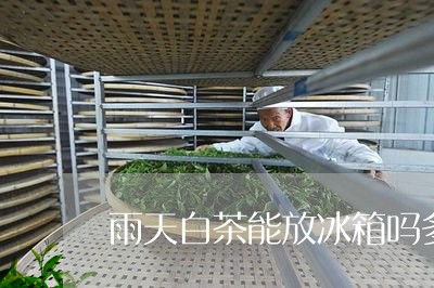 雨天白茶能放冰箱吗多久/2023032934251