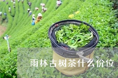 雨林古树茶什么价位/2023032243847