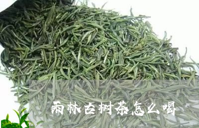 雨林古树茶怎么喝/2023032681793