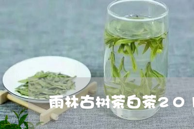 雨林古树茶白茶2018年/2023033016480