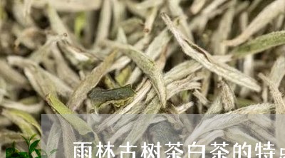 雨林古树茶白茶的特点是/2023032941824