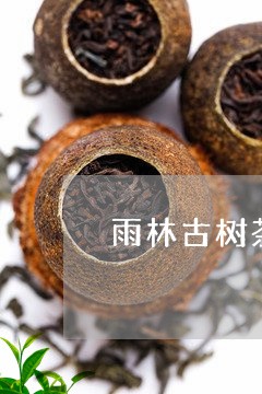 雨林古树茶紫电清霜/2023032278261