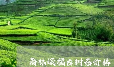 雨林颂福古树茶价格/2023032146260