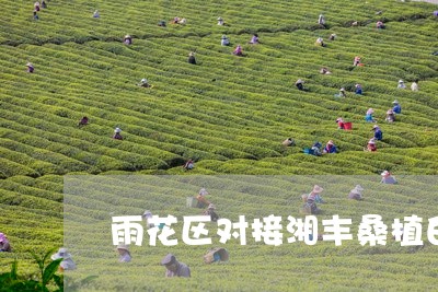 雨花区对接湘丰桑植白茶/2023032978363