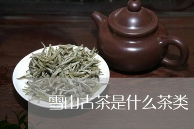 雪山古茶是什么茶类/2023032160584