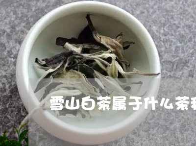 雪山白茶属于什么茶种植/2023032948481