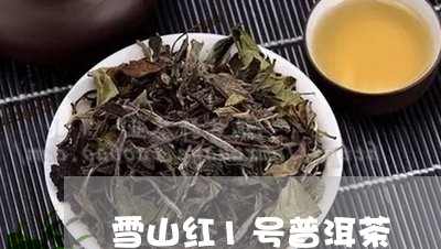 雪山红1号普洱茶/2023031738169