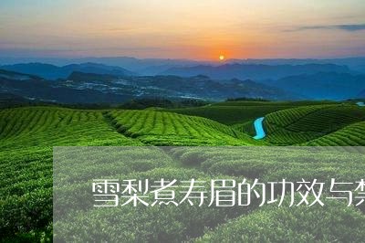 雪梨煮寿眉的功效与禁忌/2023032915039