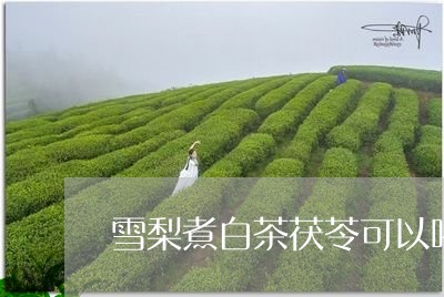 雪梨煮白茶茯苓可以喝吗/2023032982815