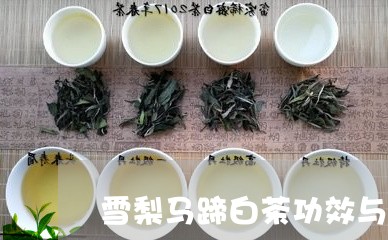 雪梨马蹄白茶功效与作用/2023032984027