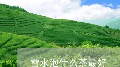 雪水泡什么茶最好/2023032385827