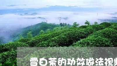 雪白茶的功效做法视频/2023032918504