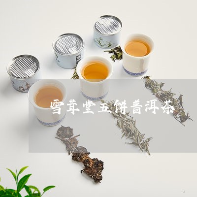 雪茸堂五饼普洱茶/2023032937361