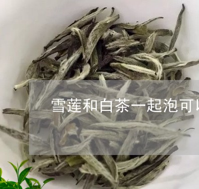 雪莲和白茶一起泡可以吗/2023032966160