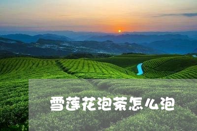 雪莲花泡茶怎么泡/2023032569260