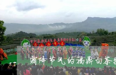 霜降节气的福鼎白茶特点/2023032945028