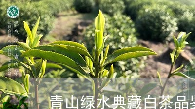 青山绿水典藏白茶品鉴装/2023032990704