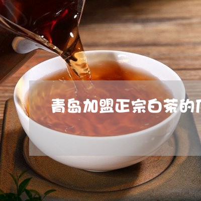 青岛加盟正宗白茶的厂商/2023032918169