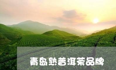 青岛熟普洱茶品牌/2023041255027