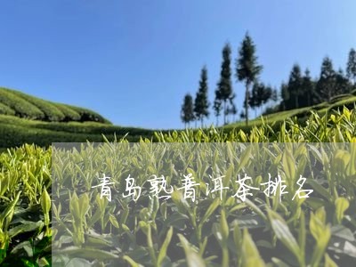 青岛熟普洱茶排名/2023031646069