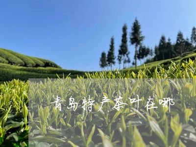 青岛特产茶叶在哪/2023032584827