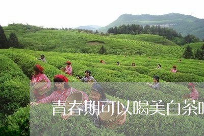 青春期可以喝美白茶吗女/2023032972938