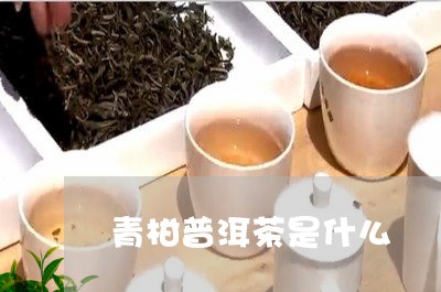 青柑普洱茶是什么/2023031730682