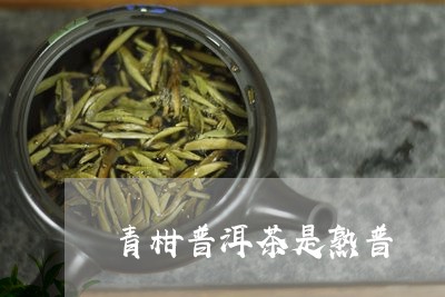 青柑普洱茶是熟普/2023031647462