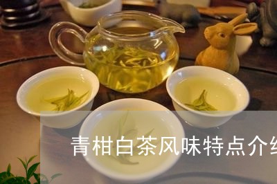 青柑白茶风味特点介绍词/2023032929372