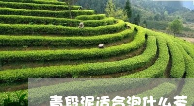 青段泥适合泡什么茶/2023041584937