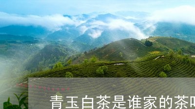 青玉白茶是谁家的茶叶好/2023032996048