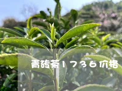 青砖茶1736价格/2023041632916