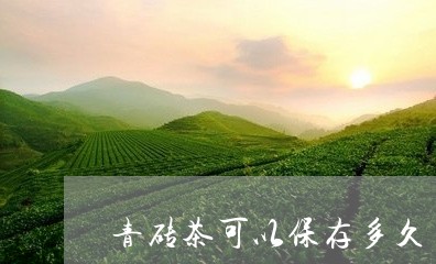 青砖茶可以保存多久/2023032044048