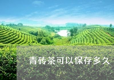 青砖茶可以保存多久/2023041615150