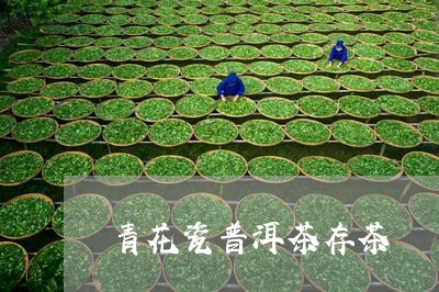 青花瓷普洱茶存茶/2023041440930