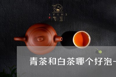 青茶和白茶哪个好泡一点/2023032925258