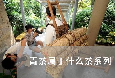 青茶属于什么茶系列/2023041696150