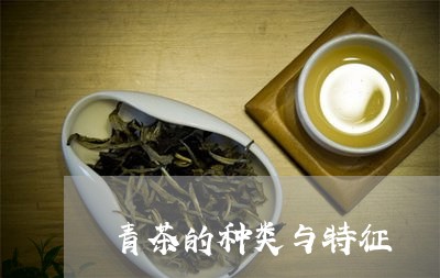 青茶的种类与特征/2023032400414