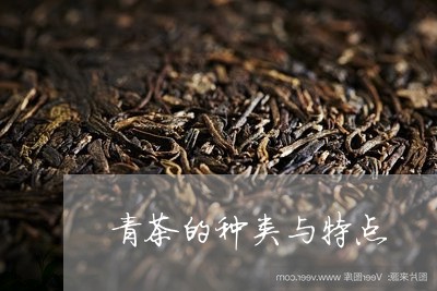 青茶的种类与特点/2023032436158