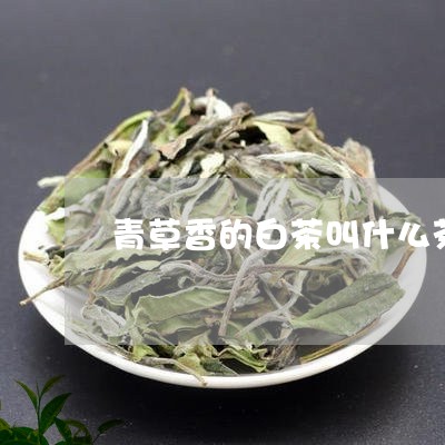 青草香的白茶叫什么茶名/2023032972716