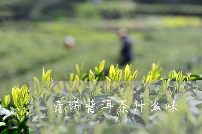 青饼普洱茶什么味/2023041160795