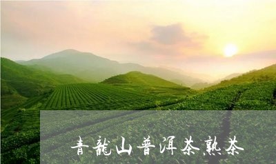 青龙山普洱茶熟茶/2023031692829